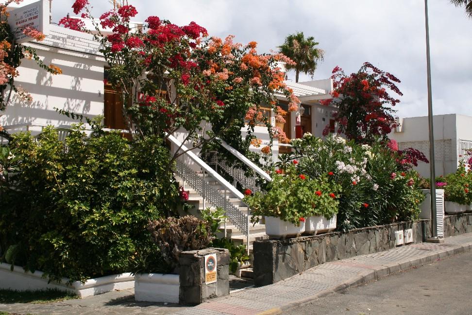 Apartamentos El Capricho Maspalomas  Buitenkant foto