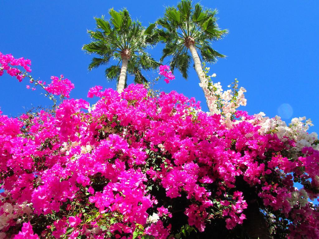 Apartamentos El Capricho Maspalomas  Buitenkant foto