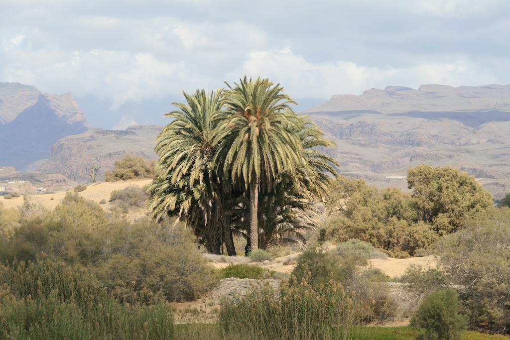 Apartamentos El Capricho Maspalomas  Buitenkant foto